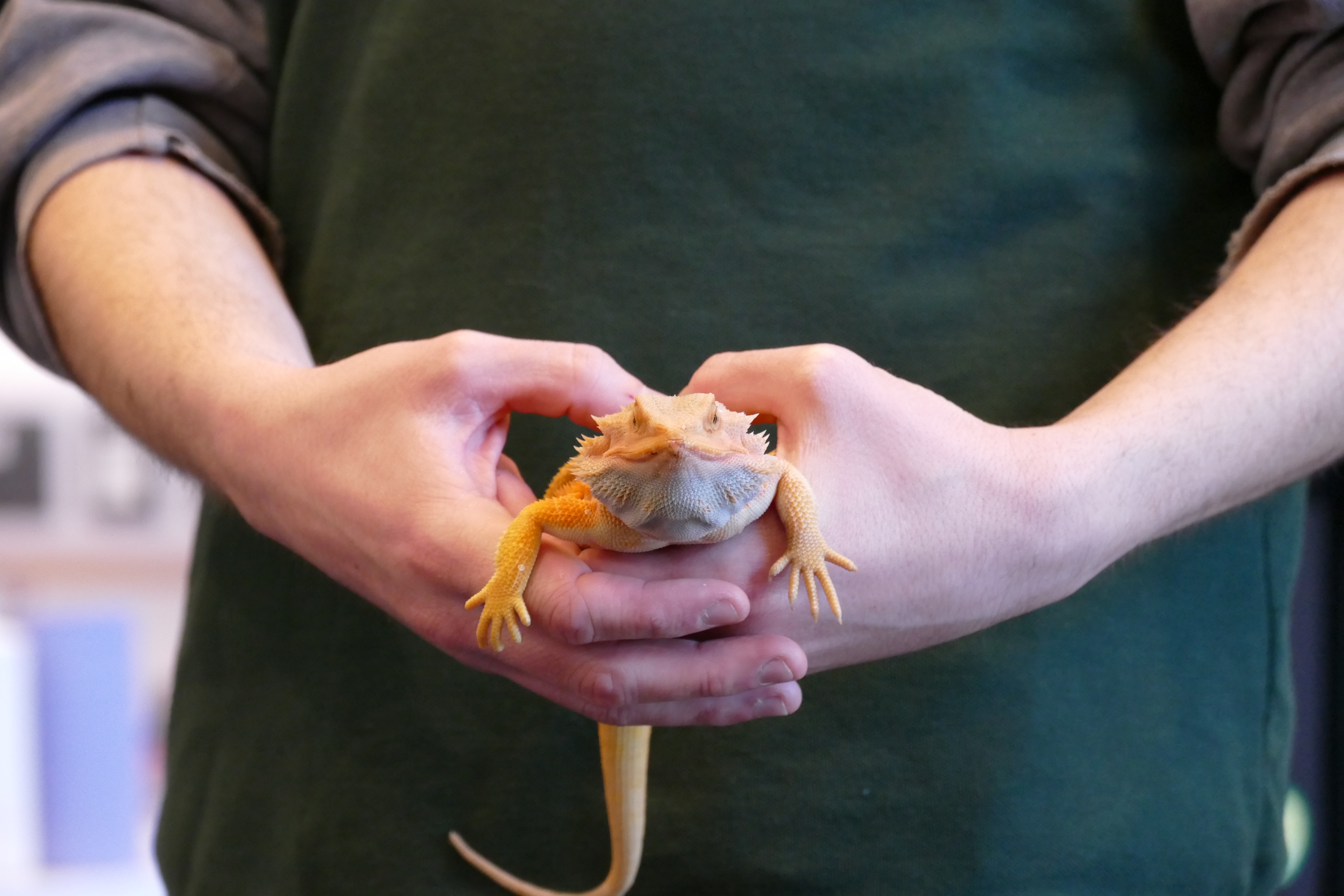 The Exotic Zoo Visits Wrekin