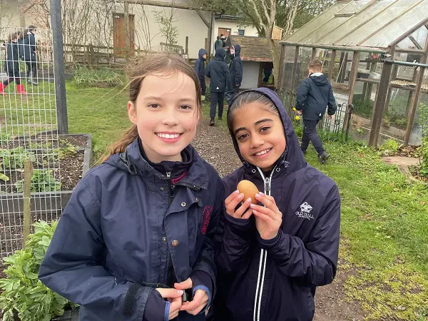 Year 5 Visit Fordhall Farm