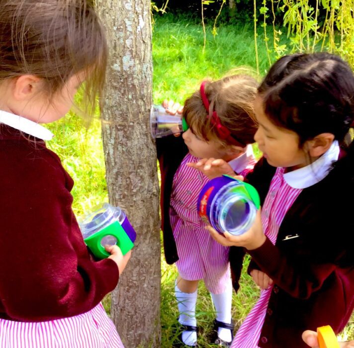 Reception Hunt for Mini Beasts