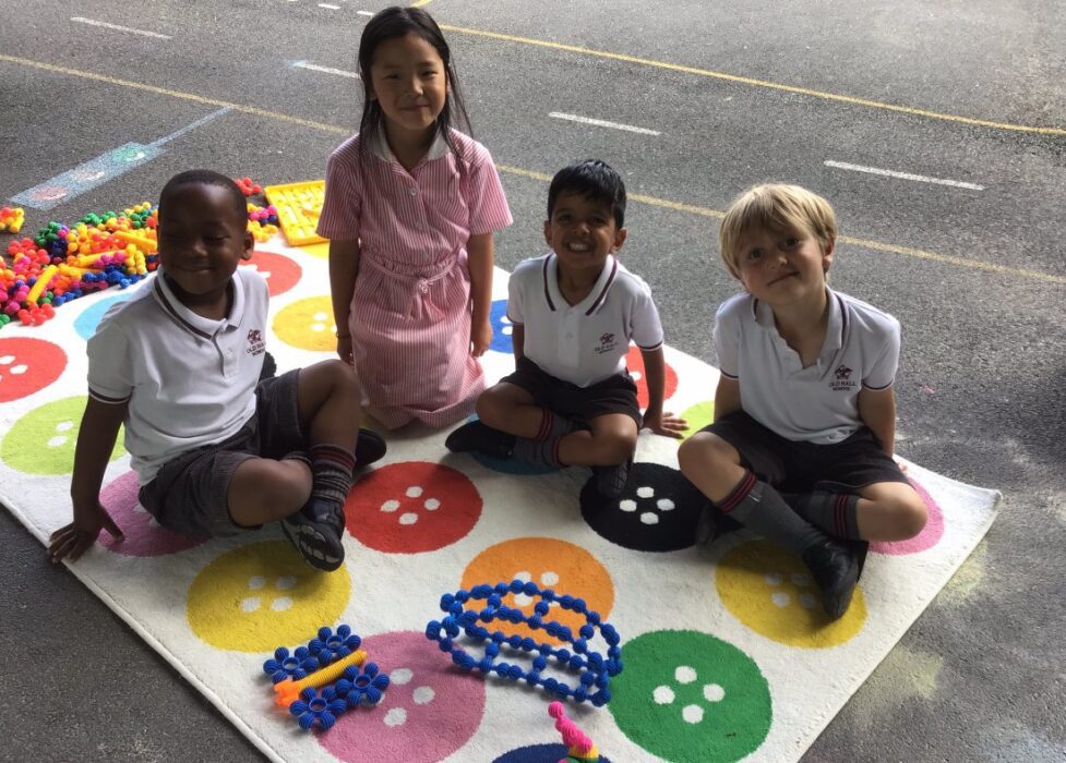 Reception Learn About Life Cycles