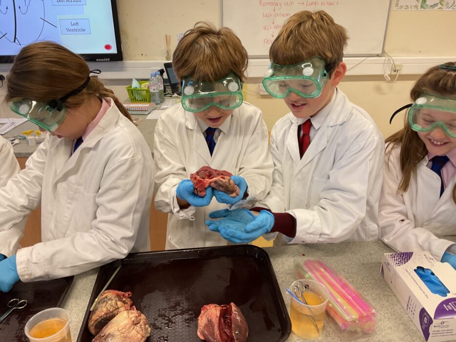 Year 6 don't miss a beat!