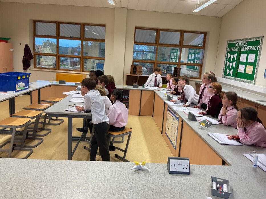 Science- Feeding the chicks!