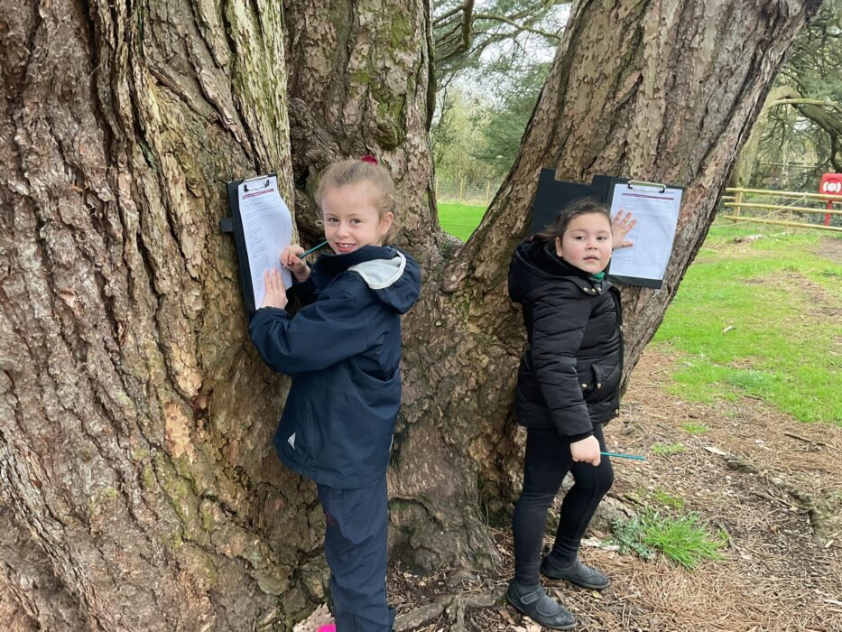 Year 2 trip: Trentham Gardens