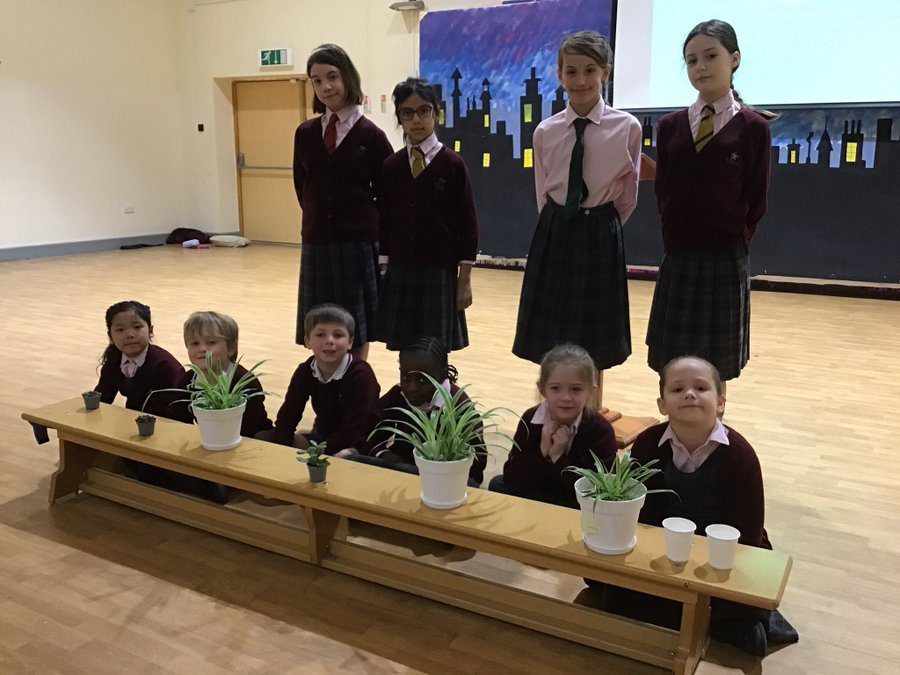 Eco Committee Class Plants