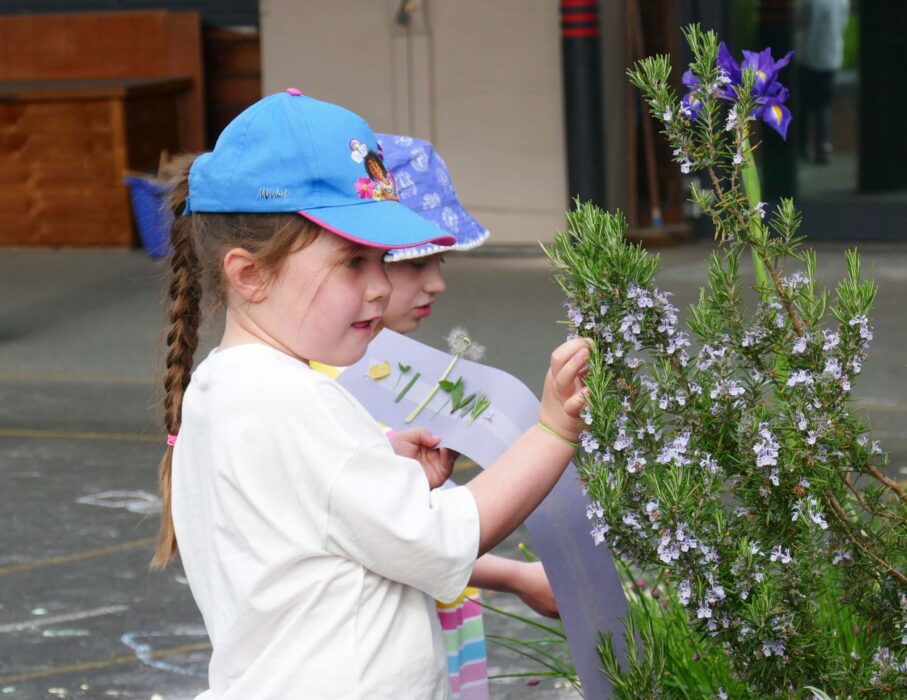 Outdoor Activity Day