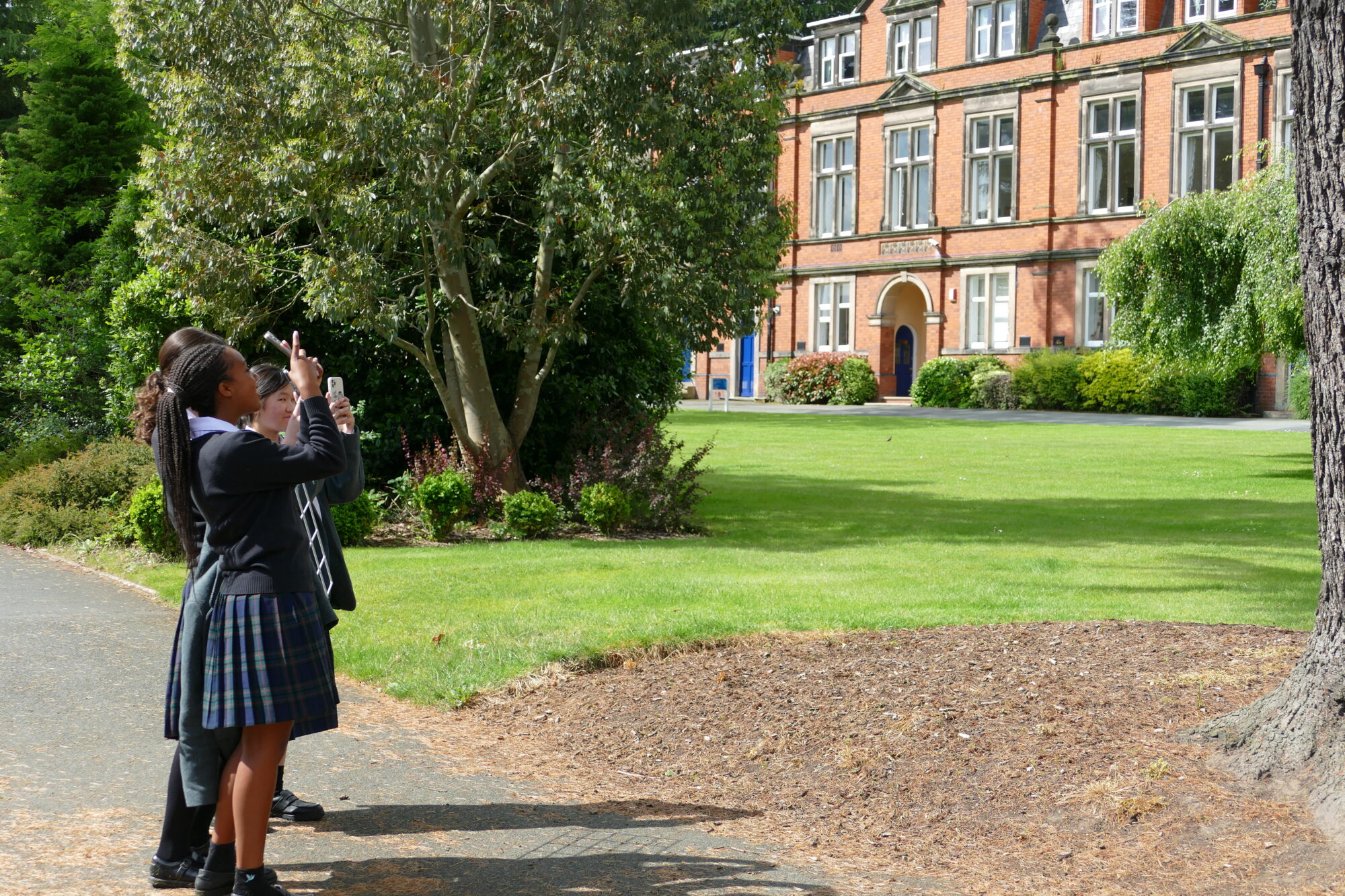 World Environment Day