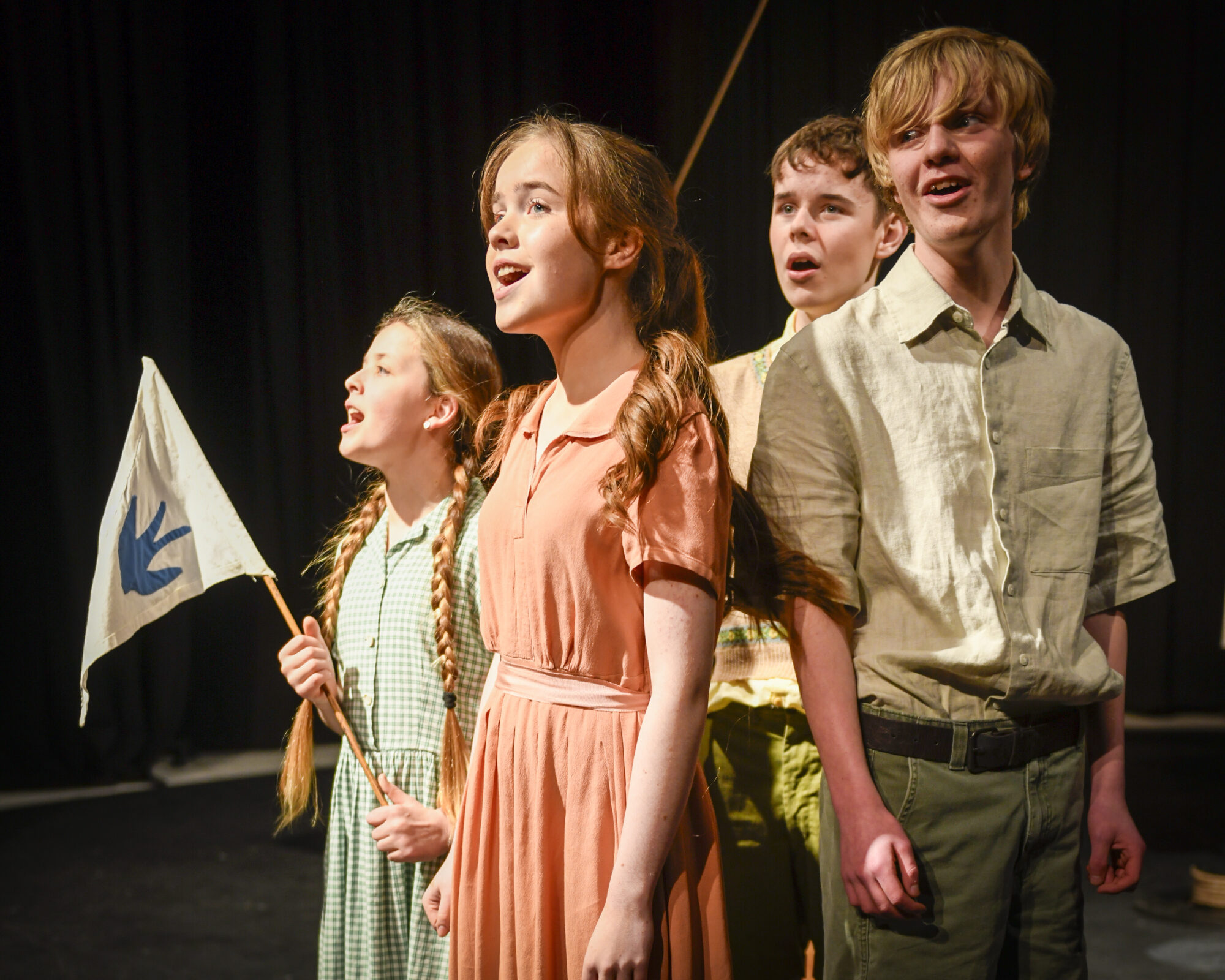 Swallows and Amazons