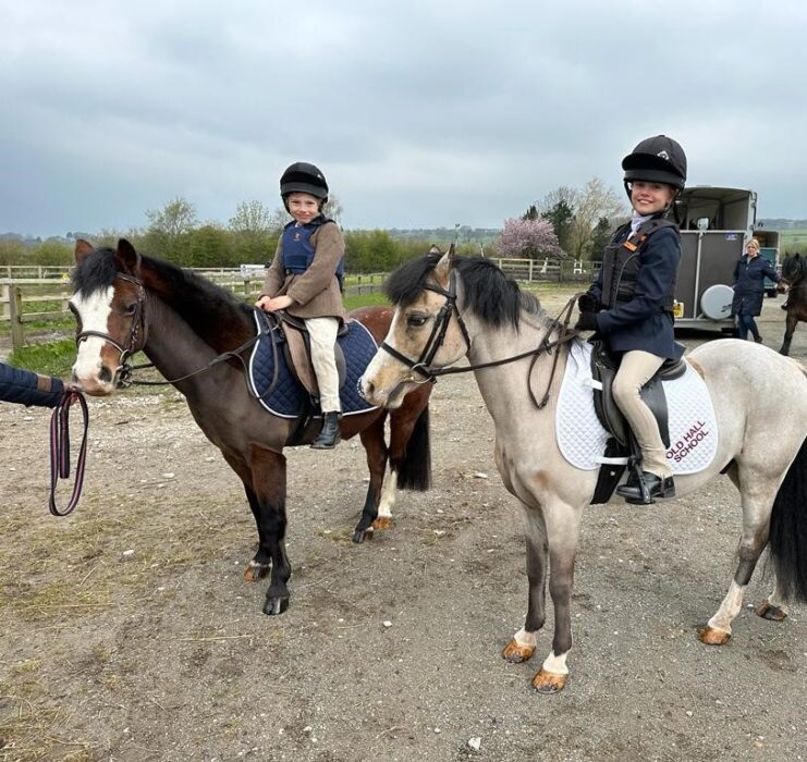 Showjumping Success!