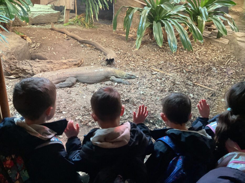 Year 1 visits Chester Zoo