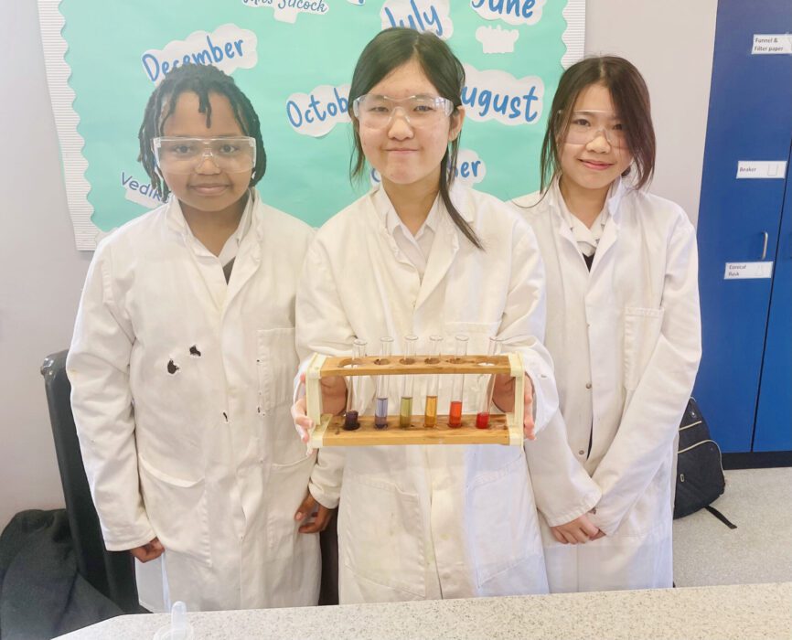 Second Form Chemists