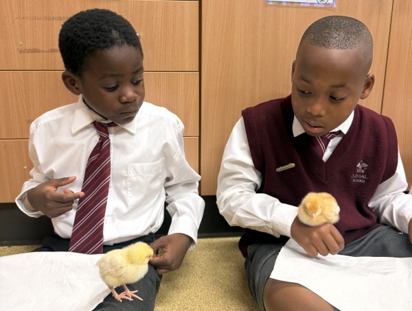 Fluffy Visitors in the Lab