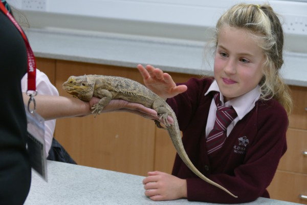 Year 3 and Year 4 Explore the Animal Kingdom with Zoolab