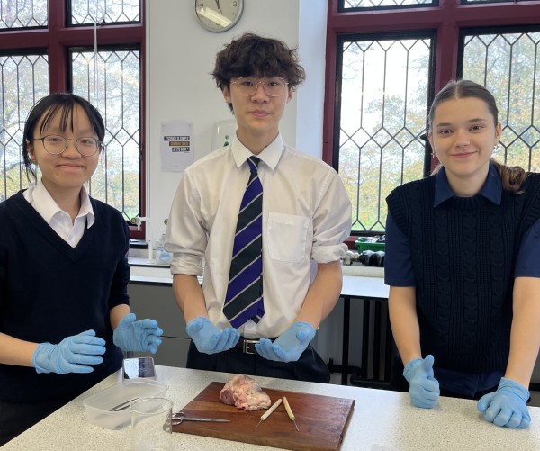 Heart Dissection Brings Biology to Life for Lower Sixth