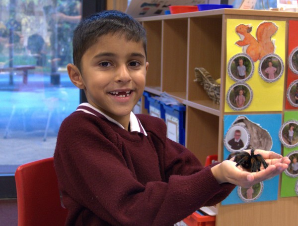 Year 2 Welcomes the Rainforest Roadshow!