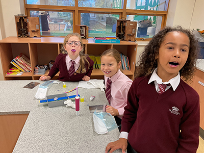 Year 4 Dentists