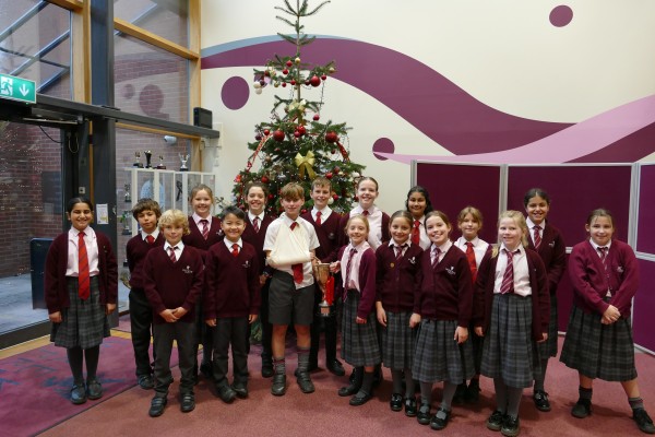 Year 5 and 6 Swimming Gala